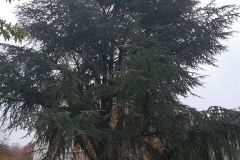 20181121_082817