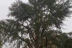 20181121_152911