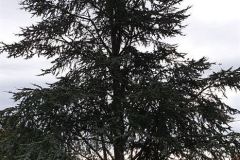 20191017_114134