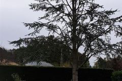 20191017_143601