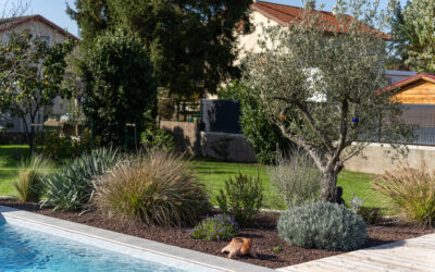 Aménagement de jardin à Bourg-en-Bresse : une création sur mesure pour votre extérieur