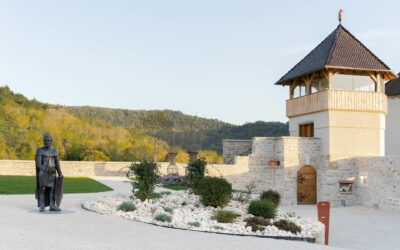 Aménagement végétal de terrasse à Oyonnax : donnez vie à votre espace extérieur